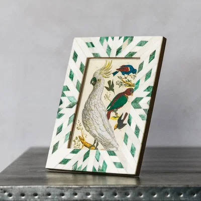 Graham & Green Green and White Aztec Bone Frame