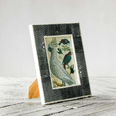 Graham & Green Black Shagreen Bone Frame