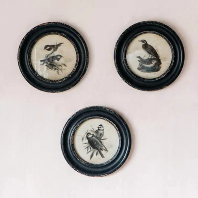 Graham & Green Graham and Green Great Tit Round Framed Print