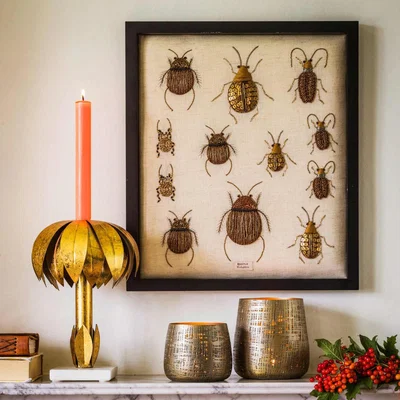 Graham & Green Large Framed Embroidered Beetle Collection