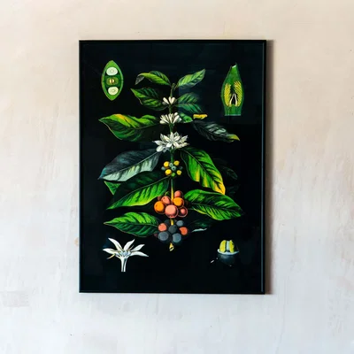 Graham & Green Medium Framed Coffee Print