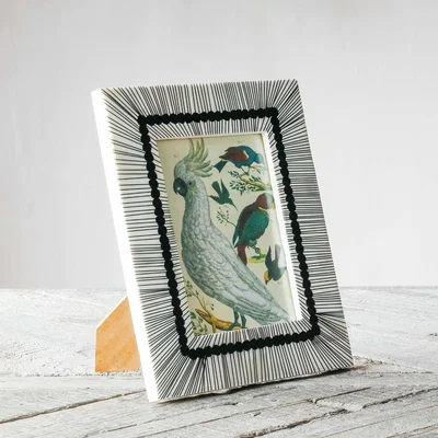 Graham & Green Black and White Sketch Bone Frame