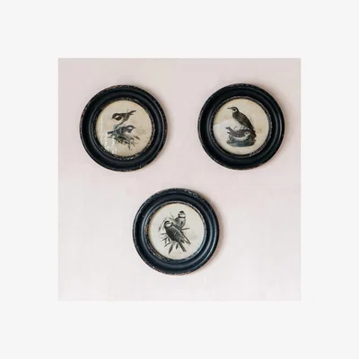 Graham & Green Graham and Green Long Beak Birds Round Framed Print