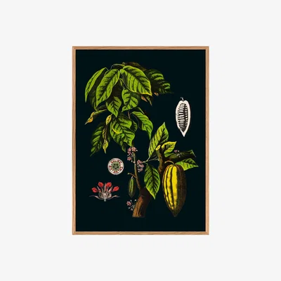 Graham & Green Small Framed Cacao Print