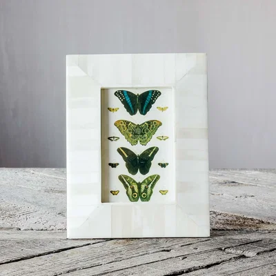 Graham & Green Tapered White Bone Frame