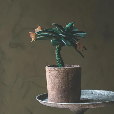 Graham & Green Faux Dudleya Potted Succulent