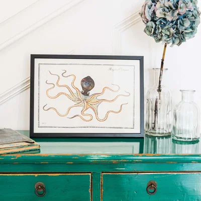Graham & Green Small Framed Octopus Print