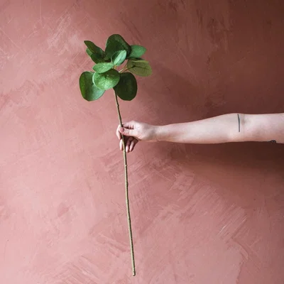 Graham & Green Faux Nasturtium Leaf Spray