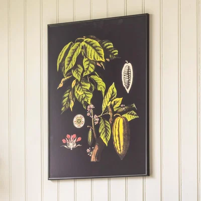 Graham & Green Medium Framed Cacao Print
