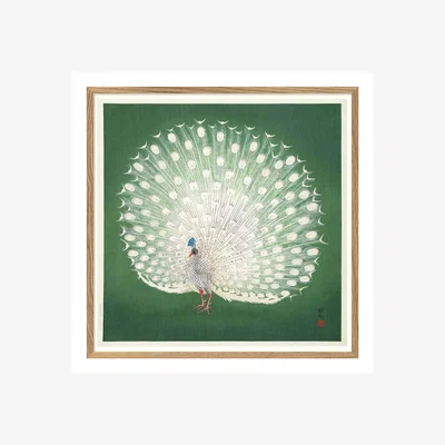Graham & Green Graham and Green Framed Peacock Print Small