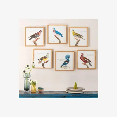 Graham & Green Graham and Green Framed Colombe Jounud Print