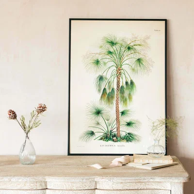 Graham & Green Medium Framed Exotic Palm Print