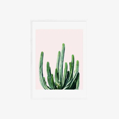 Habitat EEP 83 Oranges Cactus Framed Print - A2