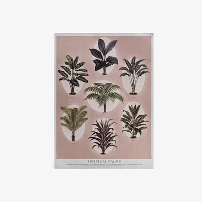 Habitat Habitat Botanical Print Unframed Wall Art - A4