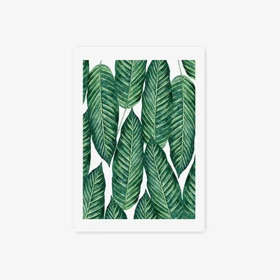 Habitat East End Prints Leaf Pattern Unframed Wall Print - A2