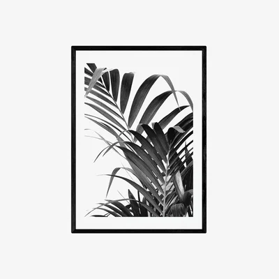 Habitat EEP Honeymoon Hotel Palm Leaf Framed Print - A1
