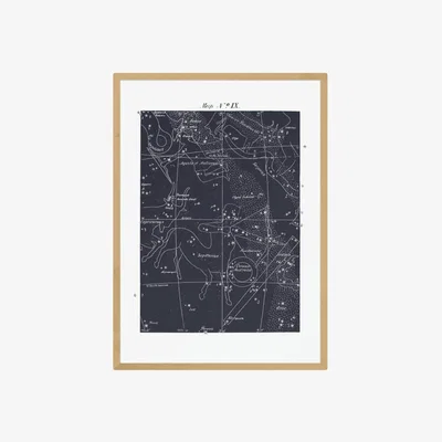 Habitat EEP Aster Sagittarius Blue Framed Print - A1