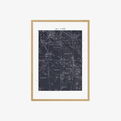 Habitat EEP Aster Sagittarius Blue Framed Print - A3