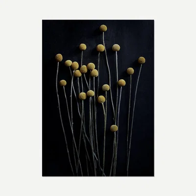 IO Living Still Life 01 - Pia Winther Black 30x40cm Art Print