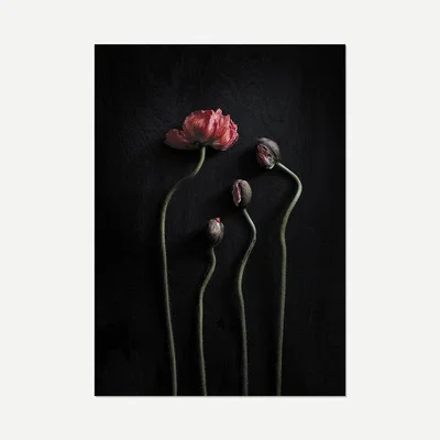 IO Living Still Life 02 - Pia Winther Black 50x70cm Art Print