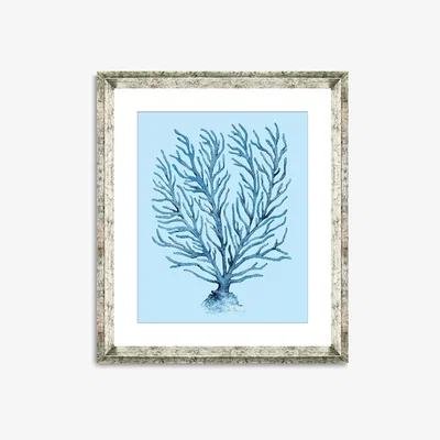 John Lewis Blue Coral 9 - Framed Print & Mount, 46 x 36cm, Blue