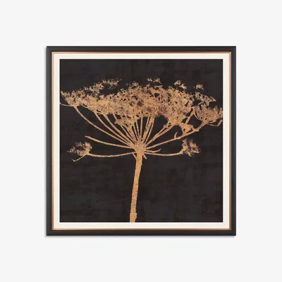 John Lewis John Lewis Charlotte Oakley 'Copper Allium' Embellished Framed Print & Mount, 36 x 36cm, Dark Grey/Metallic