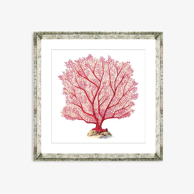 John Lewis Red Coral 7 - Framed Print & Mount, 46 x 46cm, Red