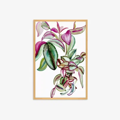 John Lewis Ingrid Sanchez - 'Tradescantia' Framed Print, 62 x 42cm, Green