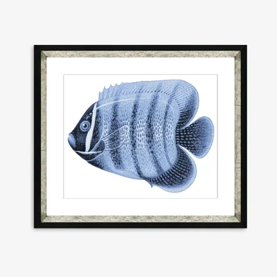 John Lewis Blue Fish 3 - Framed Print & Mount, 36 x 46cm, Blue