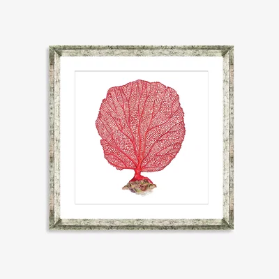 John Lewis Red Coral 3 - Framed Print & Mount, 46 x 46cm, Red