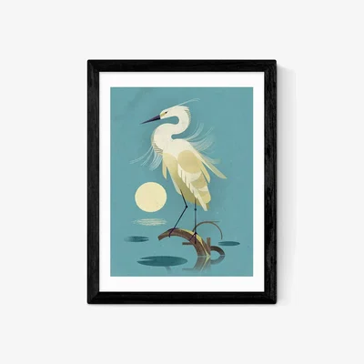 John Lewis EAST END PRINTS Dieter Braun 'Little Egret' Framed Print
