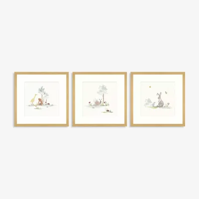 John Lewis John Lewis Baby Little Animals Wall Art Gallery Set, Set of 3, 20 x 20cm