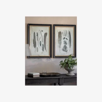 John Lewis One.World Feather Wood Framed Print, Set of 2, 57 x 45cm, Brown/Multi
