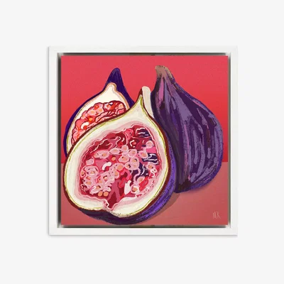 John Lewis Meera Knowles - 'Fig' Framed Canvas Print, 34 x 34cm, Purple/Multi