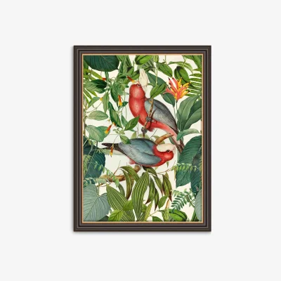 John Lewis Andrea Haase - Tropical Birds Framed Print, 77 x 57cm, Green/Multi