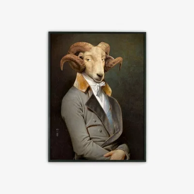 John Lewis ibride Belami Portrait Limited Edition Framed Print, 74 x 56 cm
