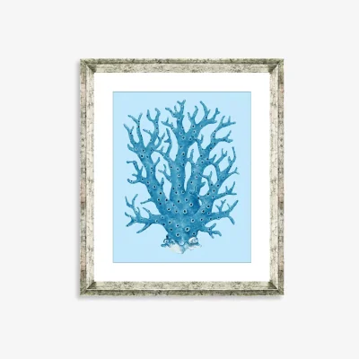 John Lewis Blue Coral 8 - Framed Print & Mount, 46 x 36cm, Blue