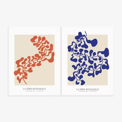 John Lewis John Lewis ANYDAY 'Serie Botanique' Unframed Prints, 40 x 30cm, Set of 2, Orange/Blue