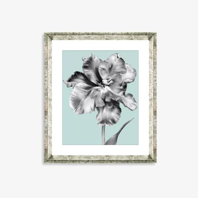 John Lewis Tulip on Blue 2 - Framed Print & Mount, 46 x 36cm, Blue