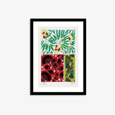 John Lewis Eugene Séguy - 'Vintage Flower I' Framed Print & Mount, 74.5 x 54.5cm, Multi