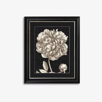 John Lewis Dramatic Peony I Framed Print & Mount, 60 x 50cm, Black/White