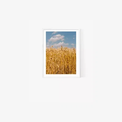 John Lewis EAST END PRINTS Bethany Young 'Summer Wheat Fields II' Framed Print