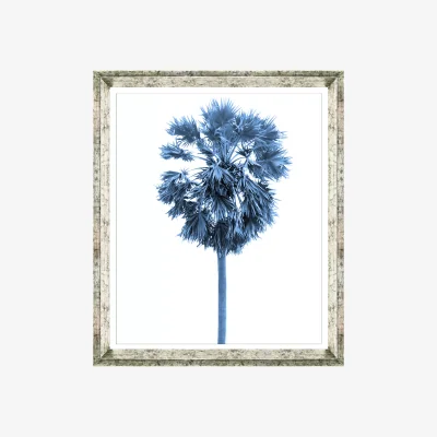 John Lewis Blue Palm Tree 3 - Framed Print & Mount, 66 x 56cm, Blue