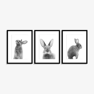 John Lewis John Lewis Bunnies Photo Wall Art Gallery Set, Set of 3, 30 x 40cm
