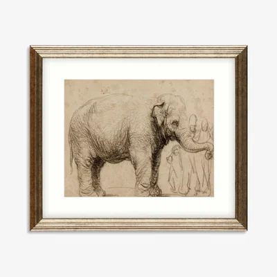 John Lewis British Museum - Rembrandt 'Asian Elephant Drawing' Framed Print & Mount, 56 x 66cm, Natural