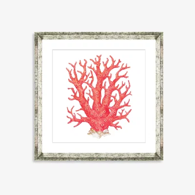 John Lewis Red Coral 9 - Framed Print & Mount, 46 x 46cm, Red