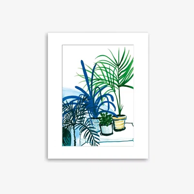 John Lewis Marta Chojnacka - Group Of Plants Unframed Print & Mount, 50 x 40cm, Green/Multi