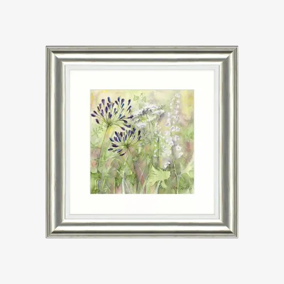 John Lewis Catherine Stephenson - Agapanthus Grasses 1 Framed Print, 50 x 50cm