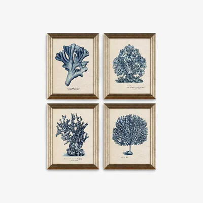 John Lewis Melissa Wang - Sea Coral Study Framed Prints, Set of 4, 47 x 37cm, Blue/Multi