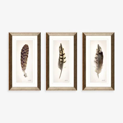 John Lewis Linda Wood - Feathers Framed Prints & Mounts, Set of 3, 67 x 37cm, Champagne
